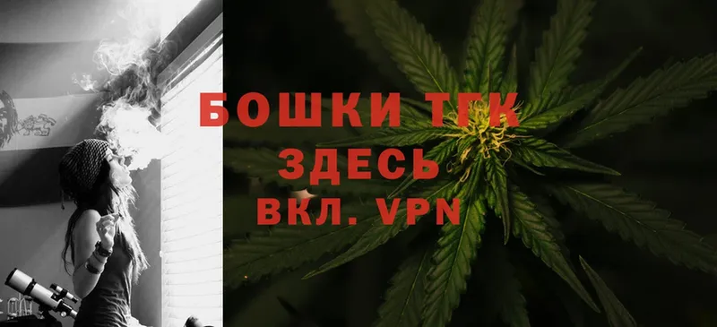 Бошки марихуана THC 21%  Камышлов 